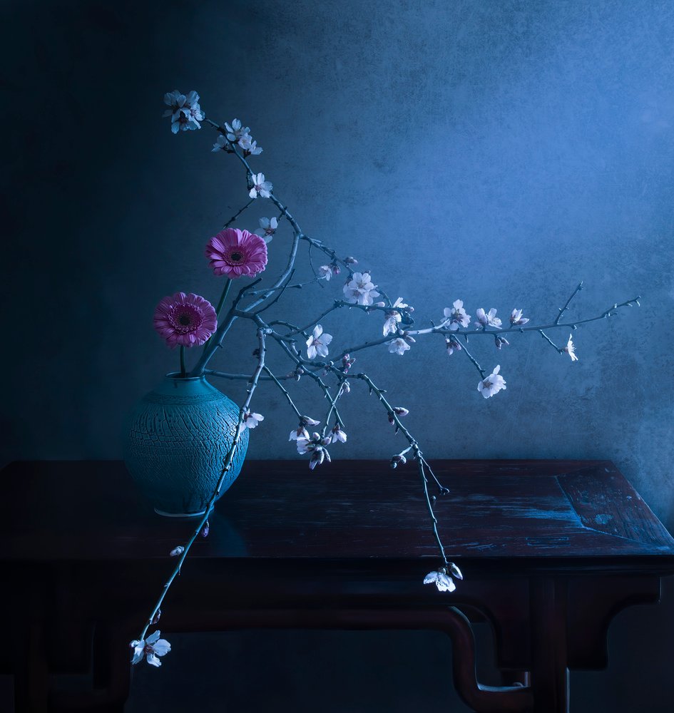 Élégance florale sombre - Judy Tseng