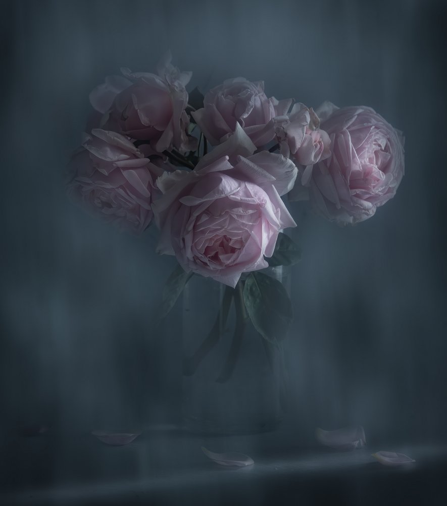 Roses roses « Moody » - Judy Tseng