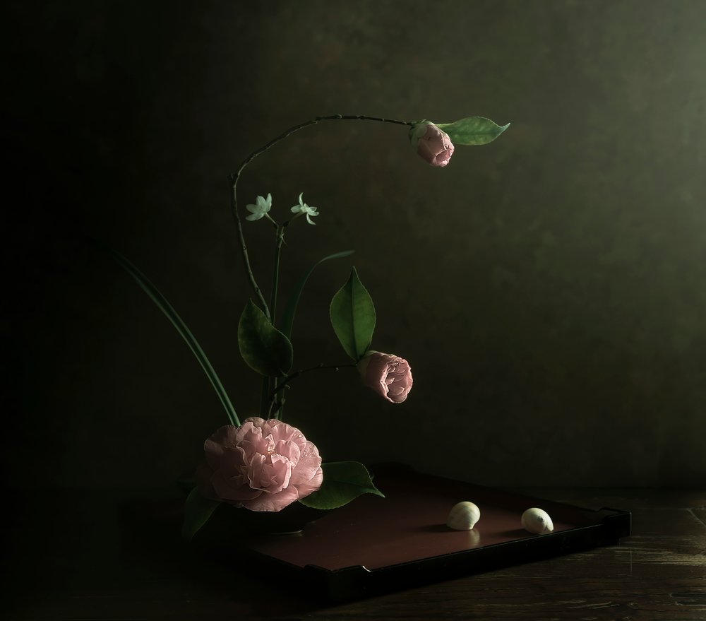 Ikebana au camélia rose - Judy Tseng