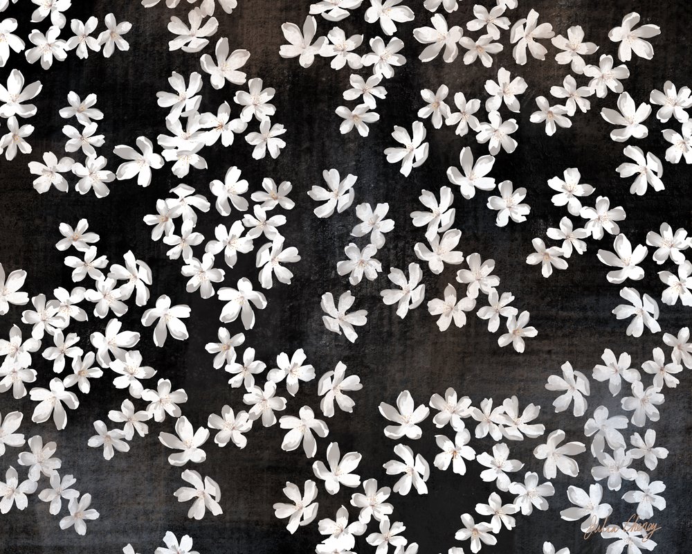 Pétales blancs délicats - Julia Cheney