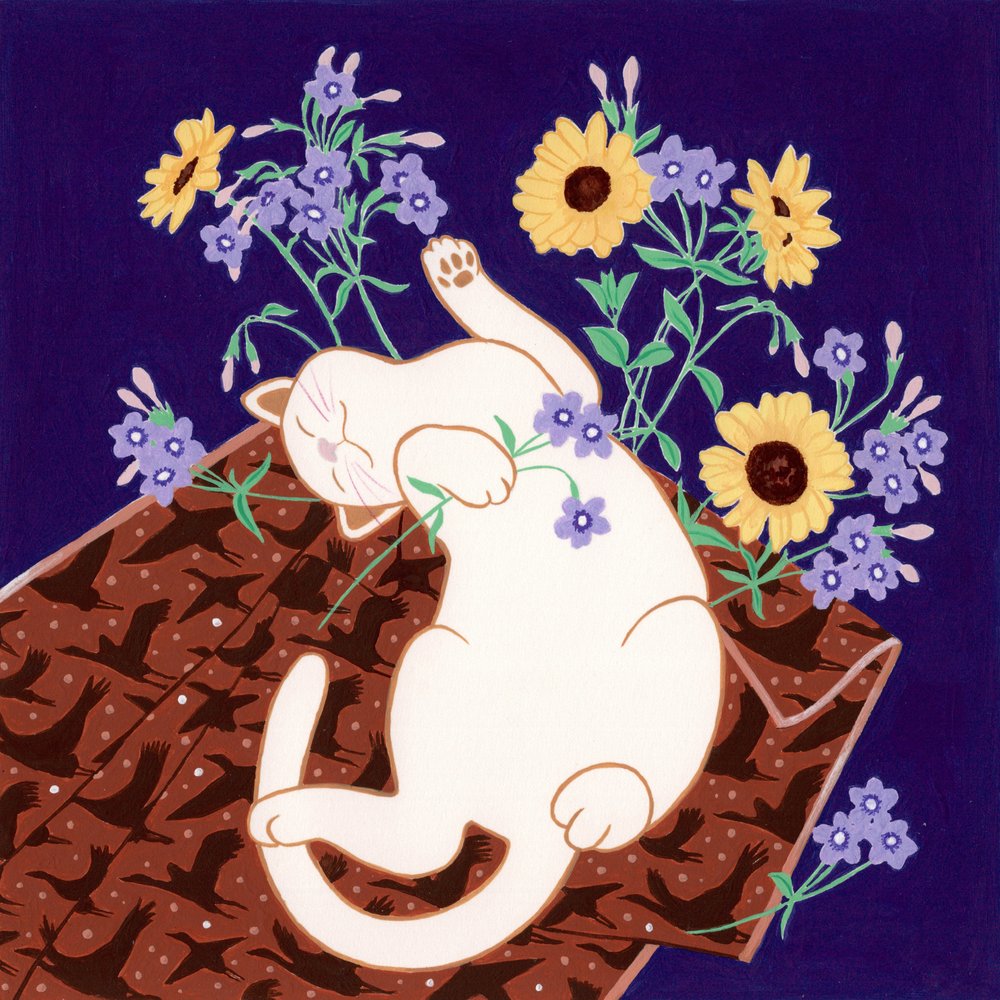 Un chat espiègle et des tournesols - Julie Lesouef