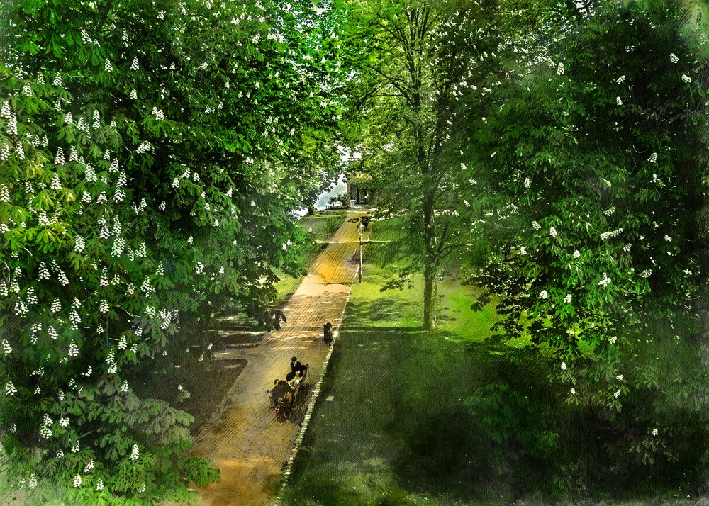 Sentier de Spring Park - Justyna Jaszke