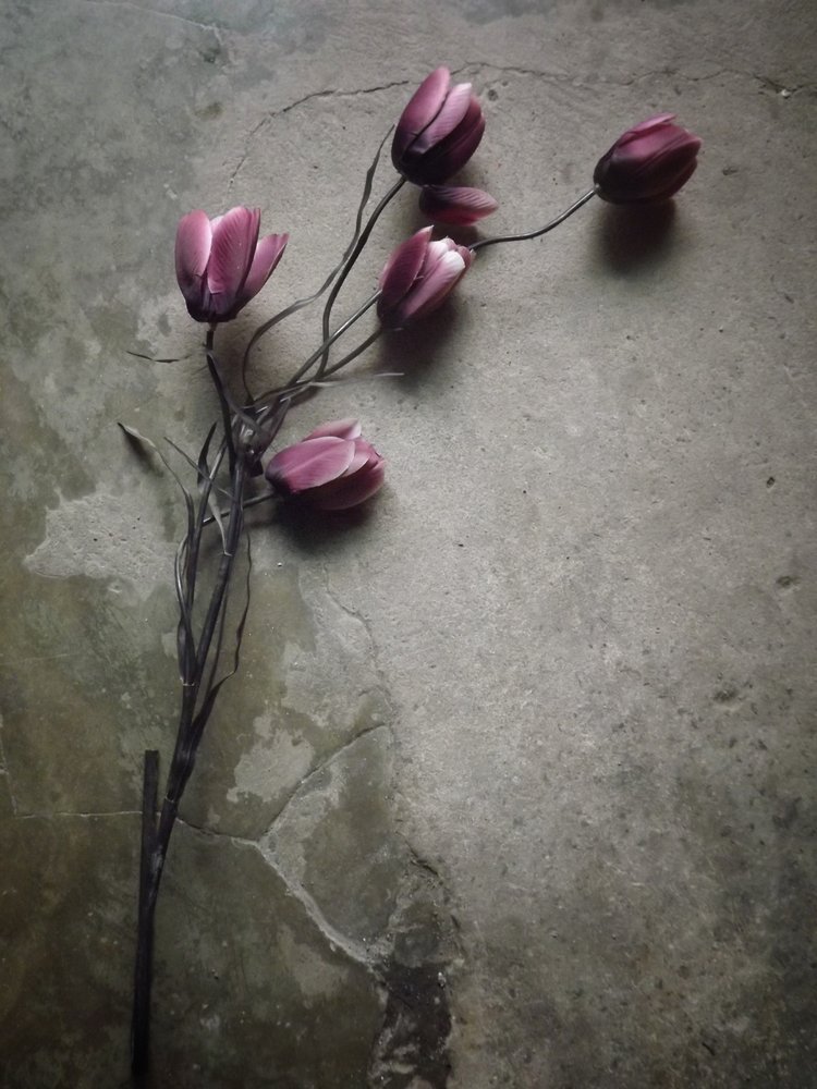 Tulipes violettes sur béton - Kahar Lagaa