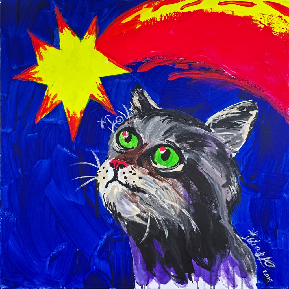 Chat et comète - Kanat Ibragimov