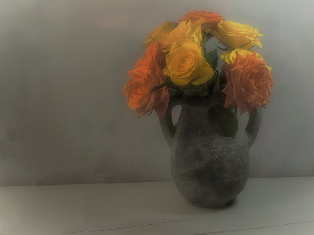 Roses jaune orangé pâle - Karen Smalley
