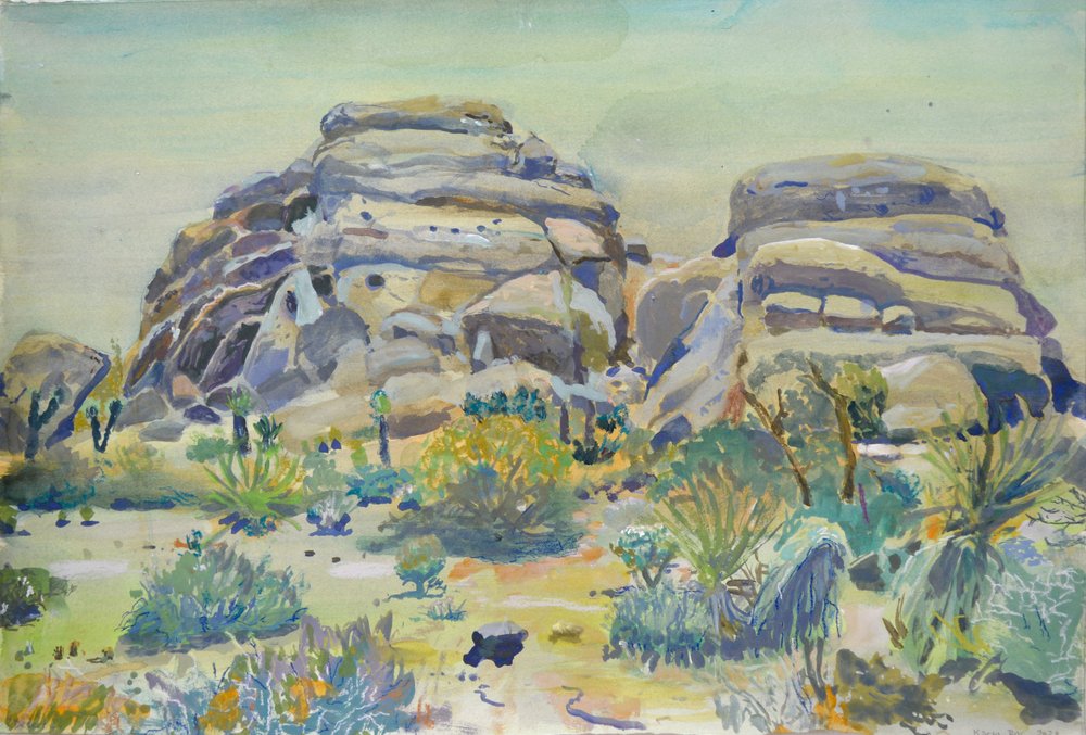 Paysage de Joshua Tree - Karin Bos