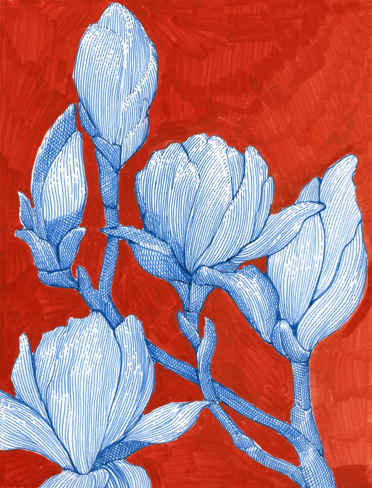 Magnolias bleus audacieux - Katie O'Shea