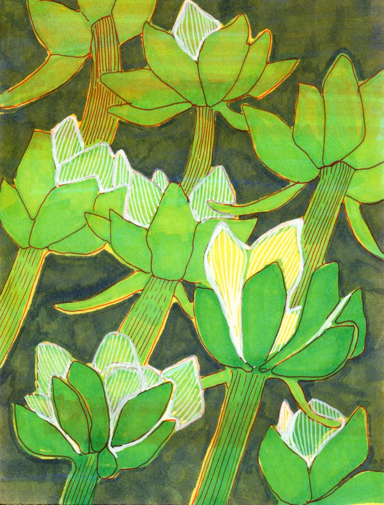 Artichauts verts luxuriants - Katie O'Shea