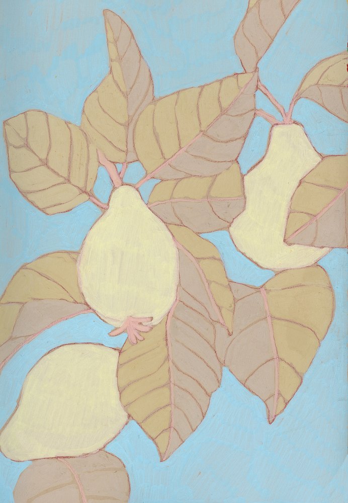 Poires sur une branche bleue - Katie O'Shea