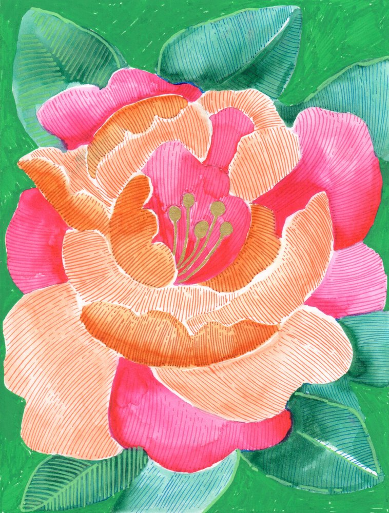 Floraison florale éclatante - Katie O'Shea