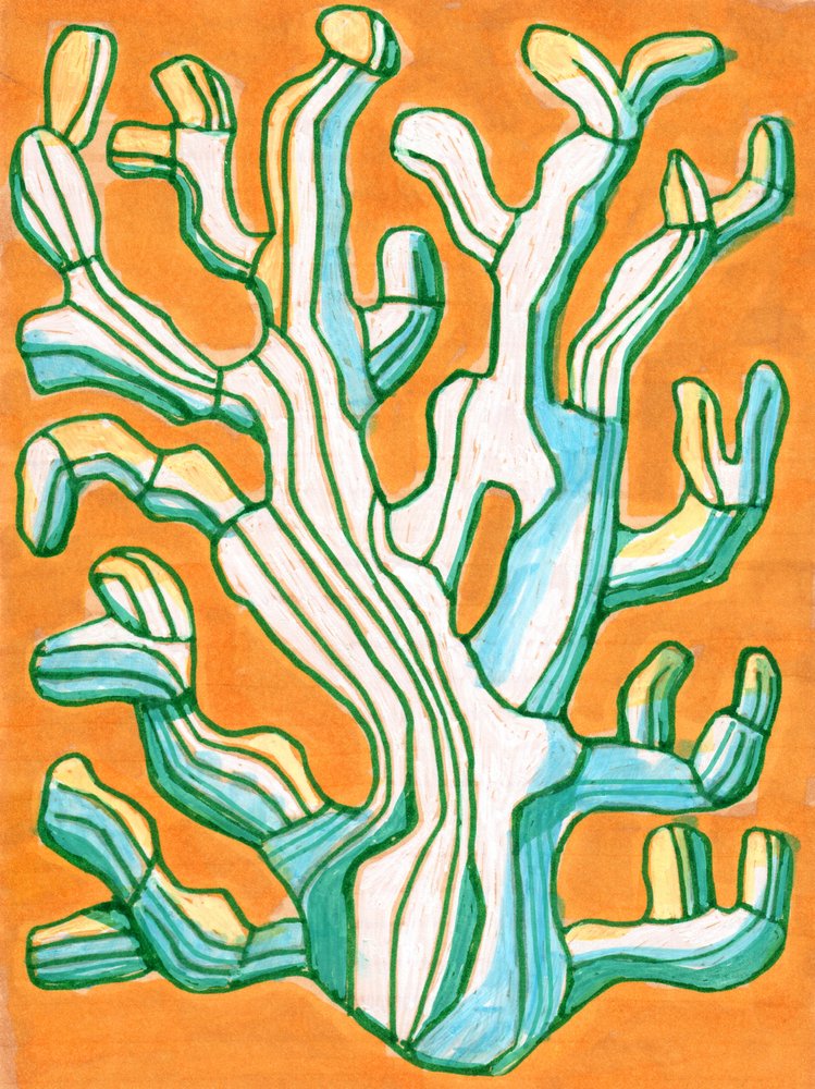 Corail rayé éclatant - Katie O'Shea