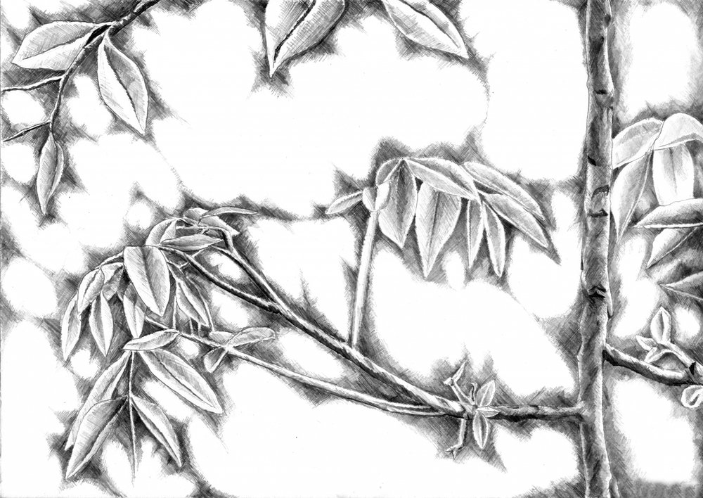  - Kulik