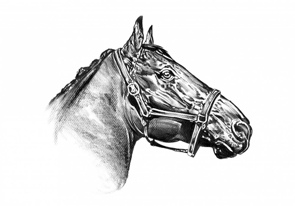  - Kulik