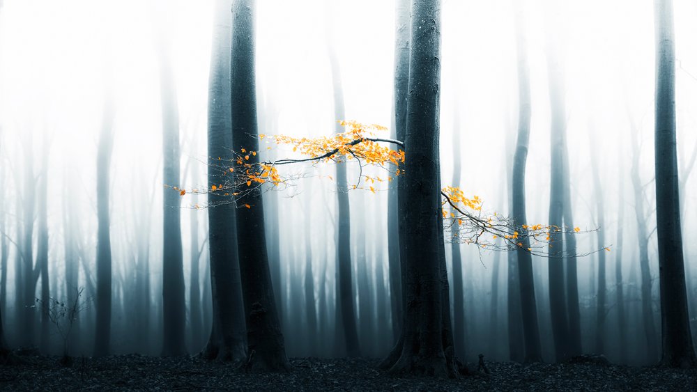  - Lars van de Goor †