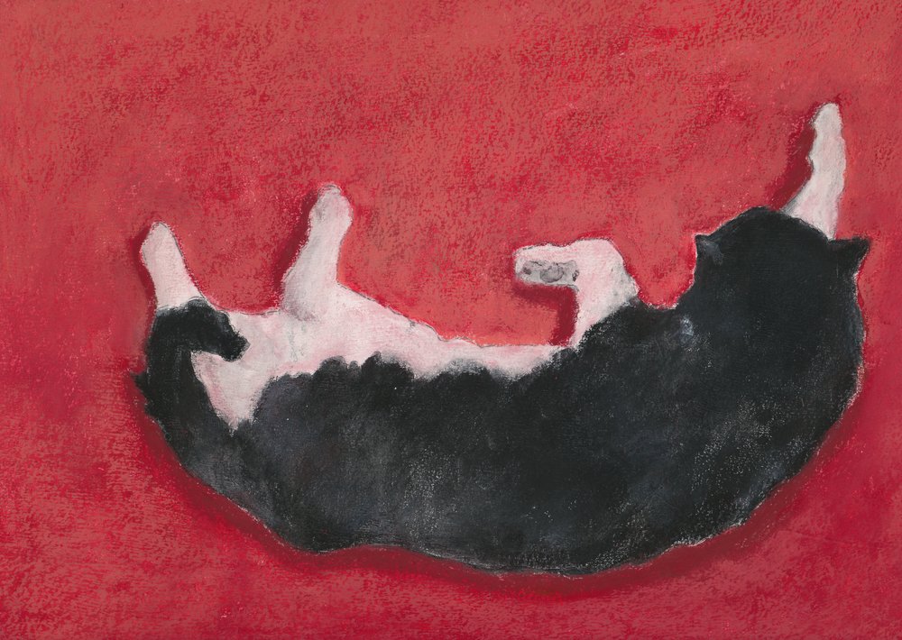 Chien joyeux sur fond rouge - Lena Ru
