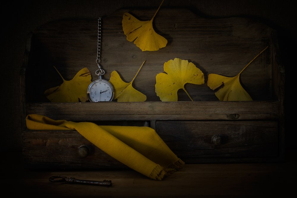 Feuilles dorées et temps qui passe - Lenka