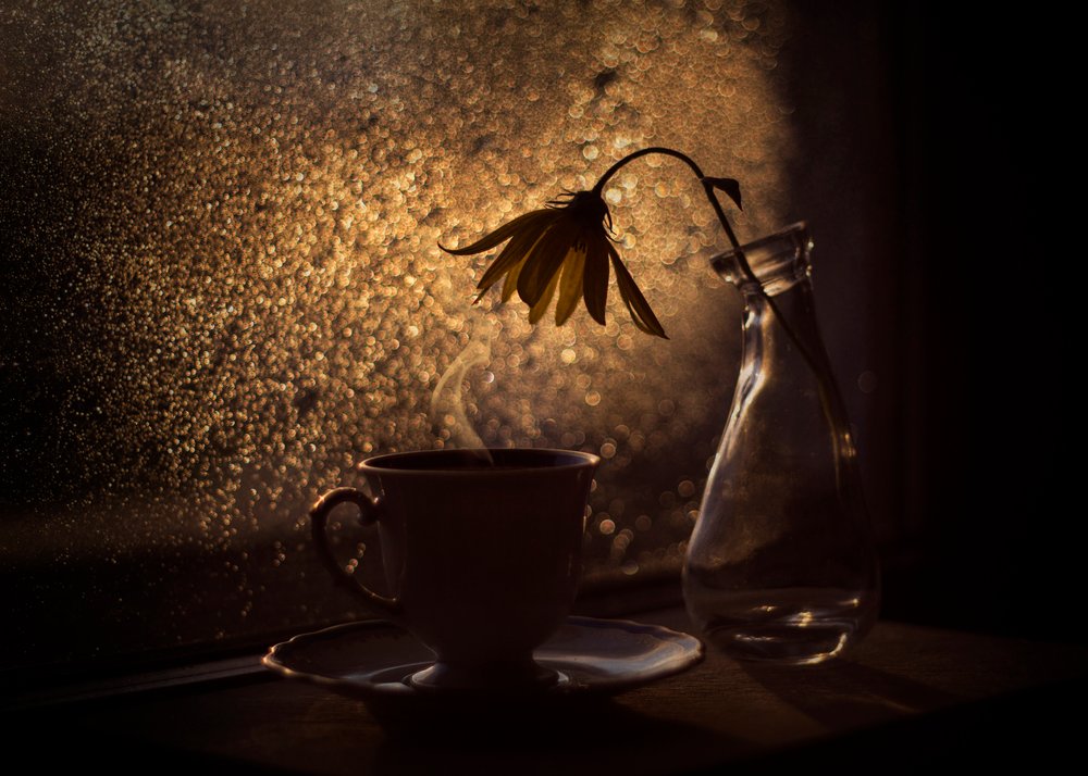 Fleur de café « Golden Light » - Lenka