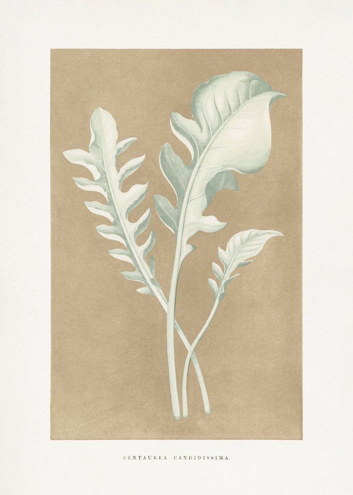 Illustration d