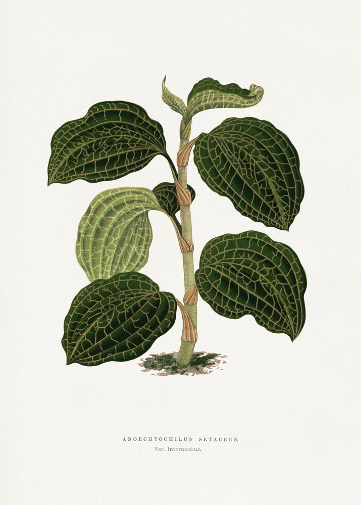 Illustration d