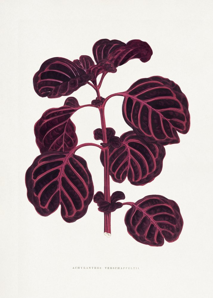 Illustration d
