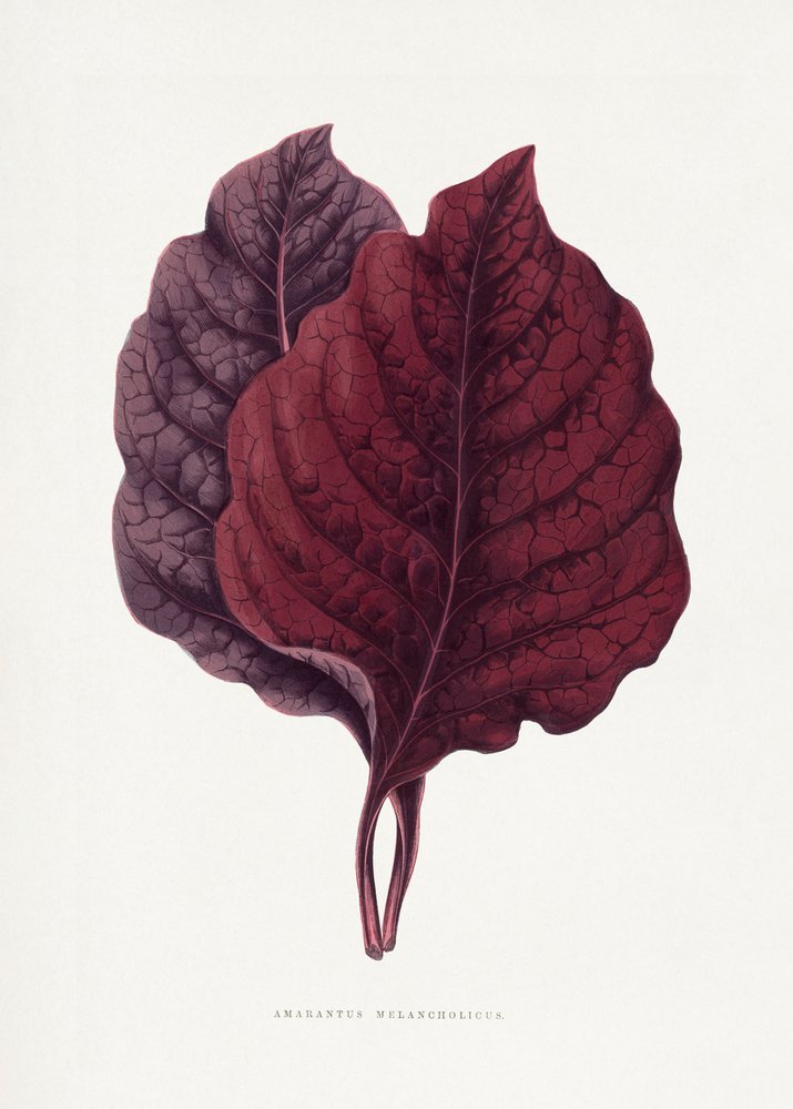 Illustration d