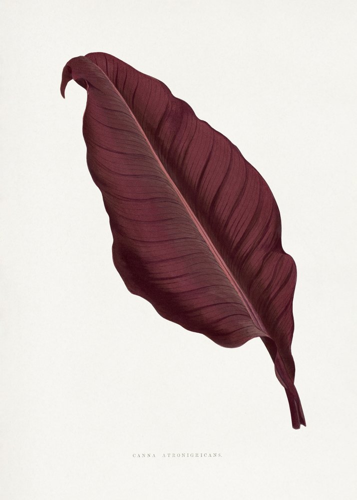 Illustration d