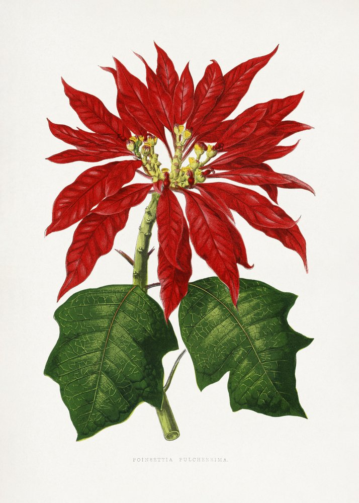 Illustration d