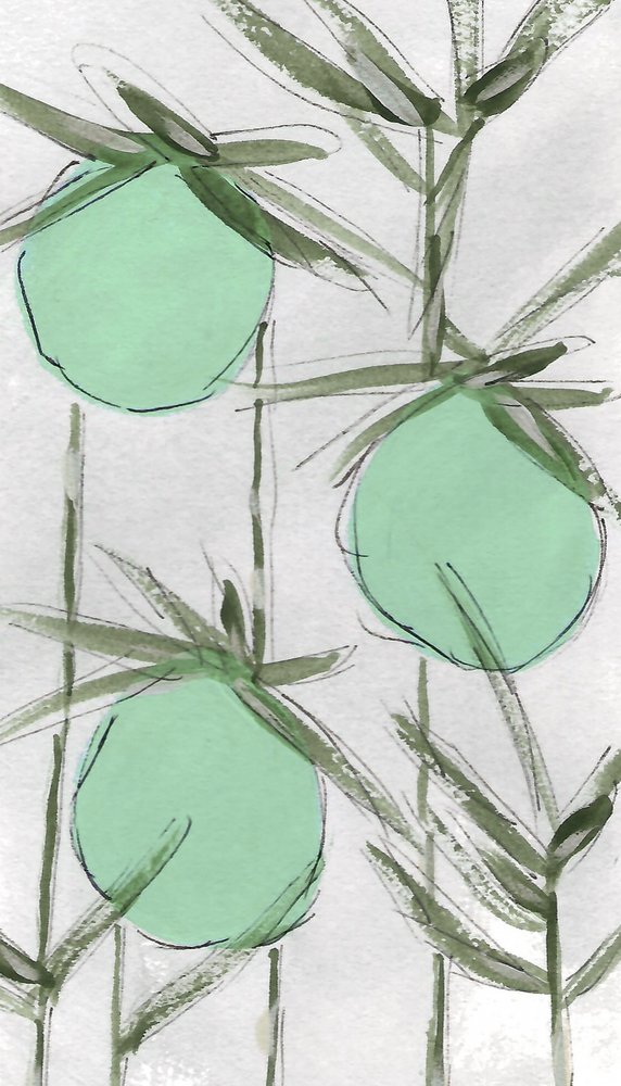 Résumé : Green Botanicals - Lori Ann Folz