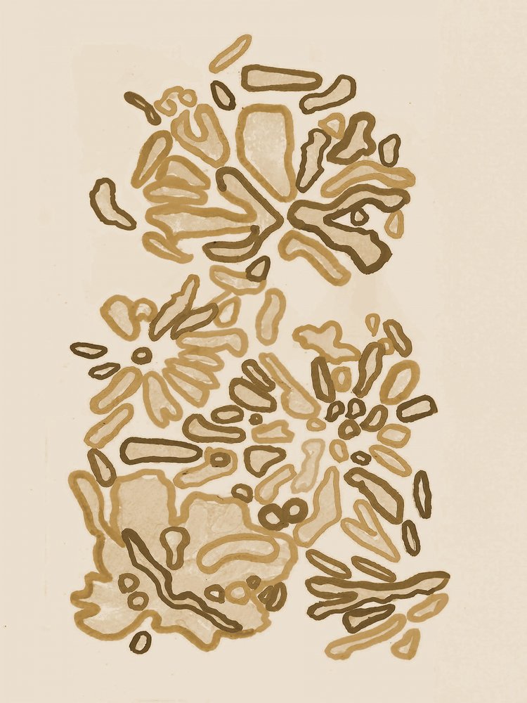 Formes organiques fluides - Lori Ann Folz