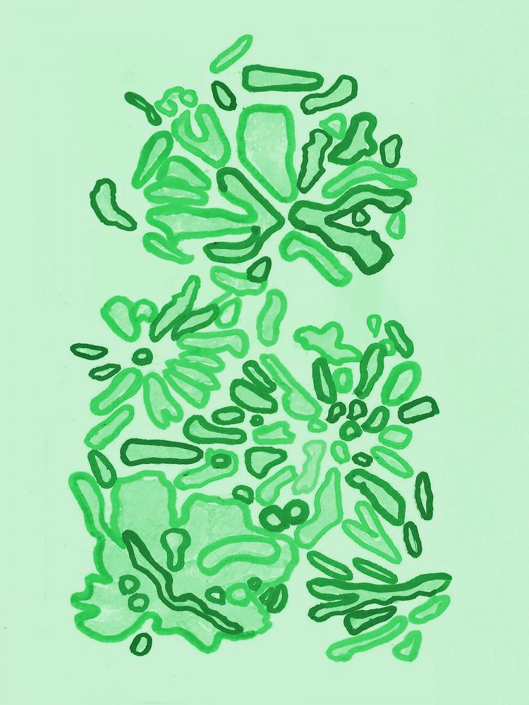 Formes vertes et bio - Lori Ann Folz