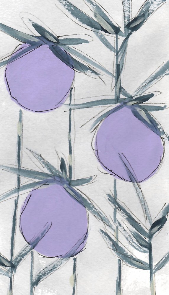 Fruits botaniques violets - Lori Ann Folz