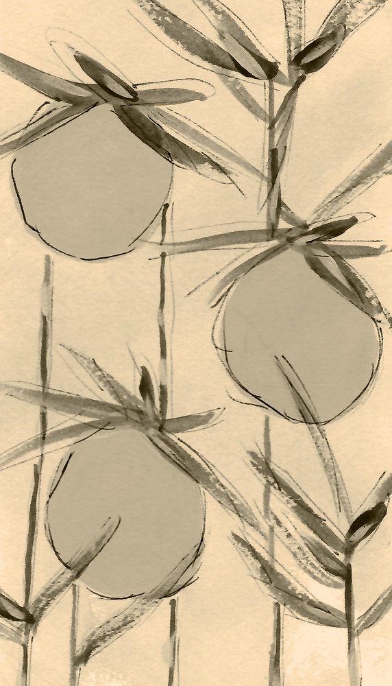 Plantes de coton sépia - Lori Ann Folz
