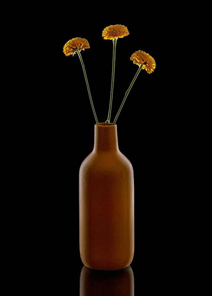 Vase marron « Warm Flowers » - Louie Luo