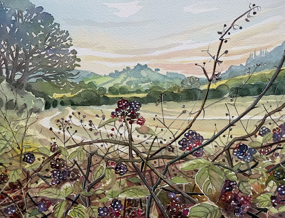 Paysage de mûres mûres - Luisa Millicent