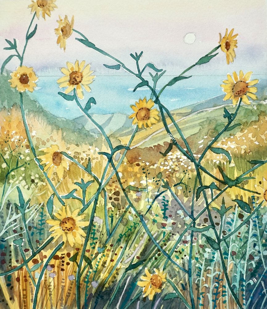 Fleurs sauvages ensoleillées et vue sur l
