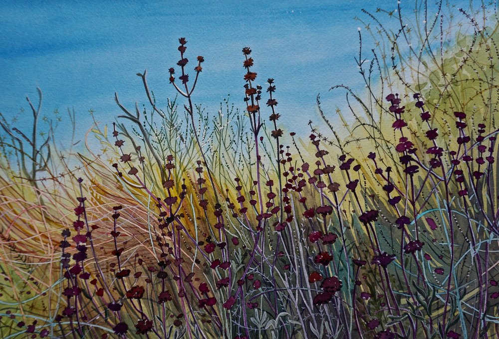 Une prairie sauvage pleine de vie - Luisa Millicent