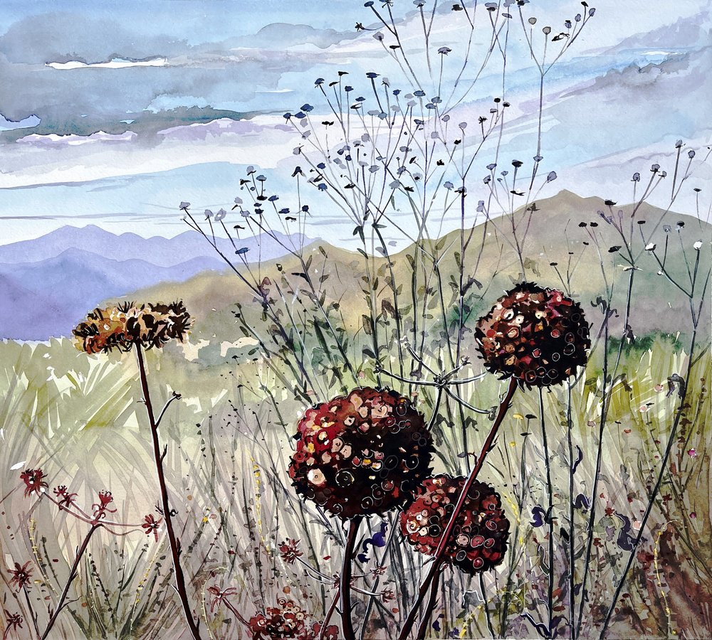 Fleurs sauvages et montagnes - Luisa Millicent