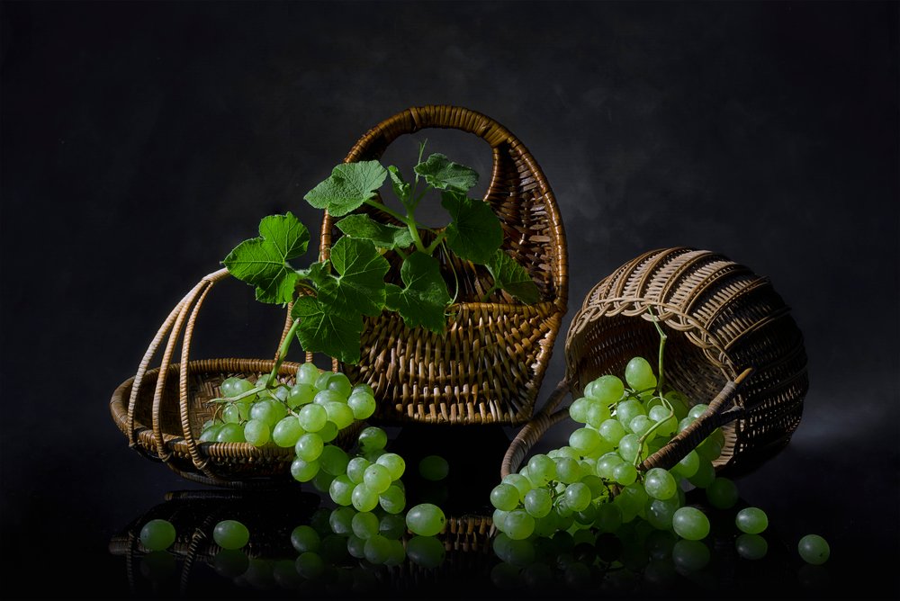 Nature morte aux raisins abondants - Lydia Jacobs
