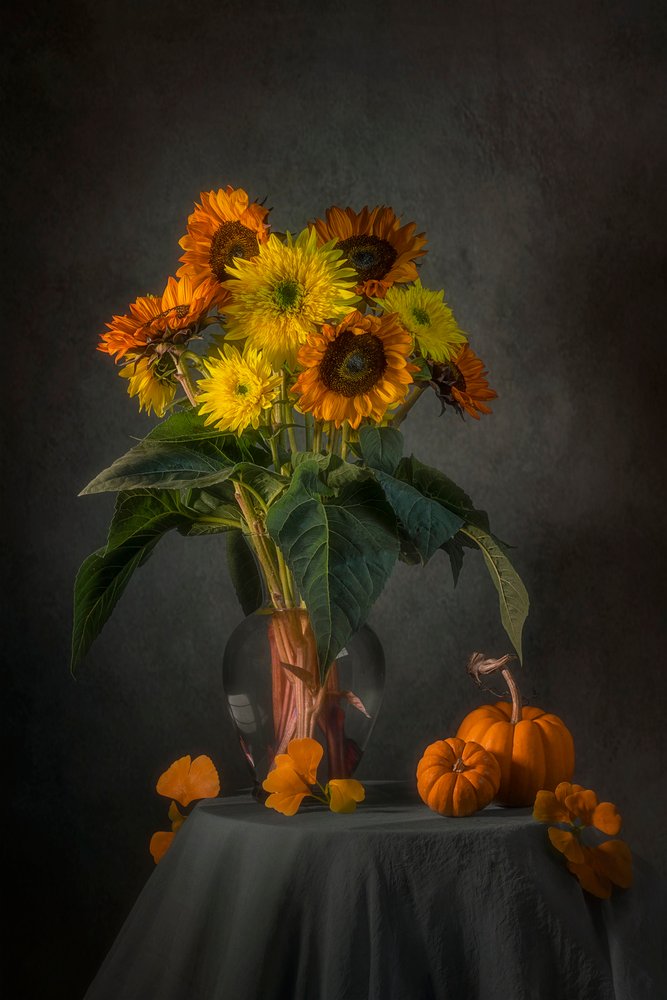 Tournesols et citrouilles d