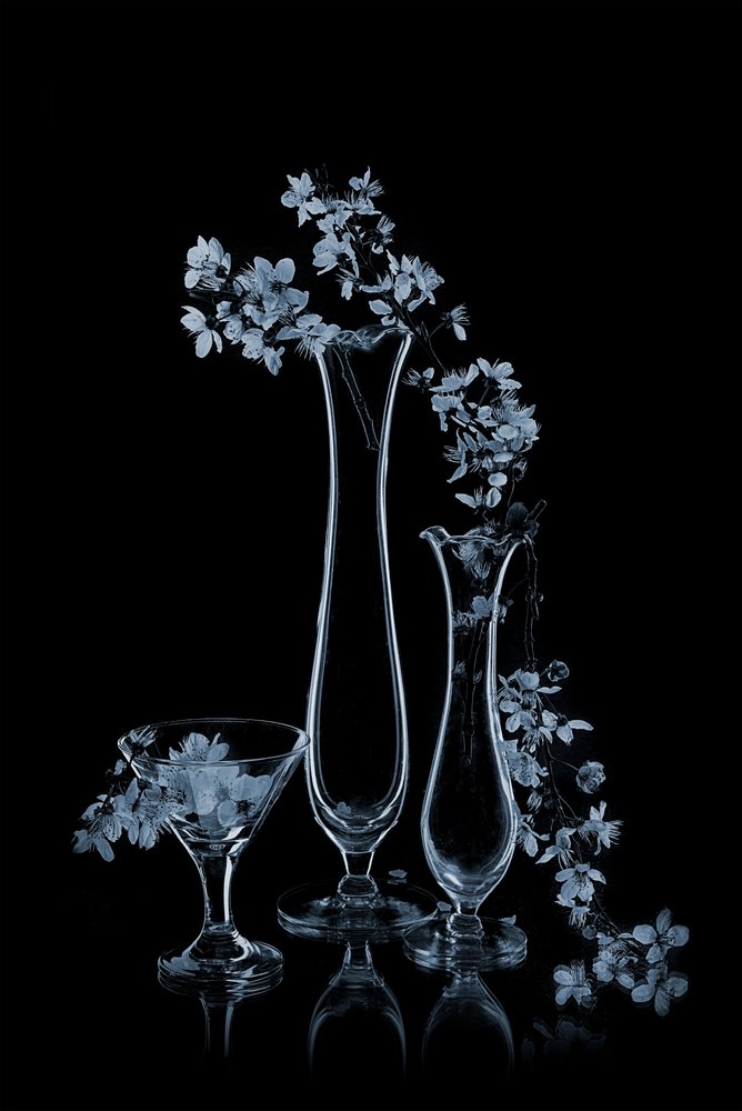 Fleurs bleues dans des vases en verre - Lydia Jacobs