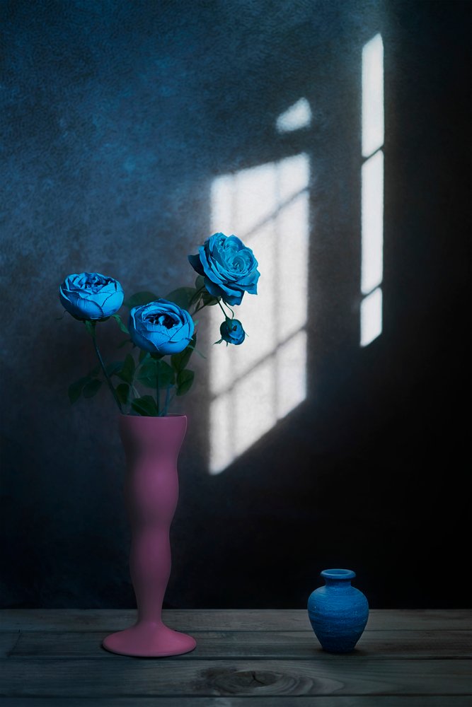 Lumière de fenêtre « Roses bleues » - Lydia Jacobs