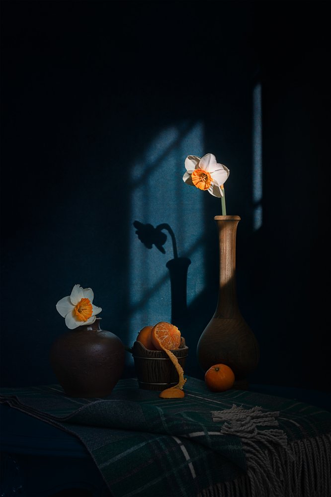 Jonquilles – Ombres d