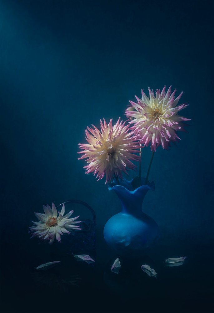 Des dahlias dans un vase bleu - Lydia Jacobs