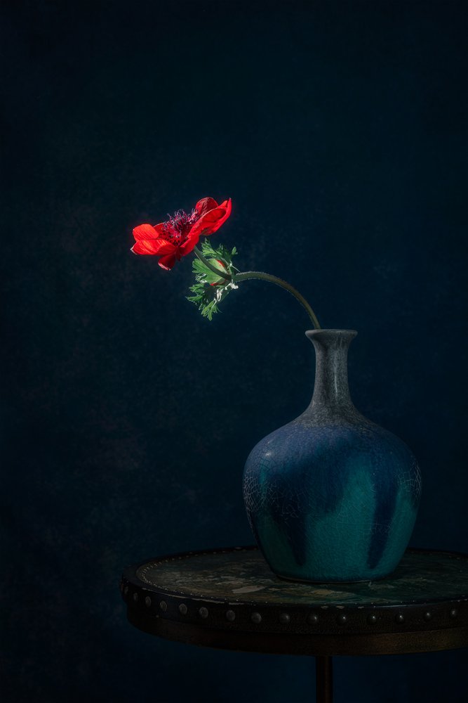 Vase « Dark Anemone » - Lydia Jacobs