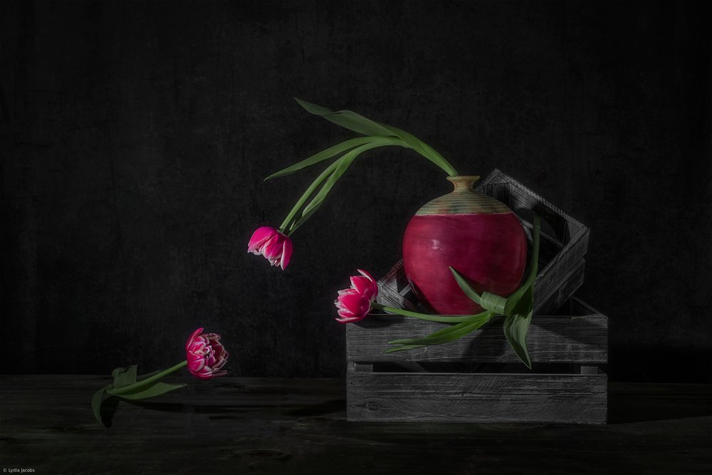 Tulipes sombres et radis - Lydia Jacobs