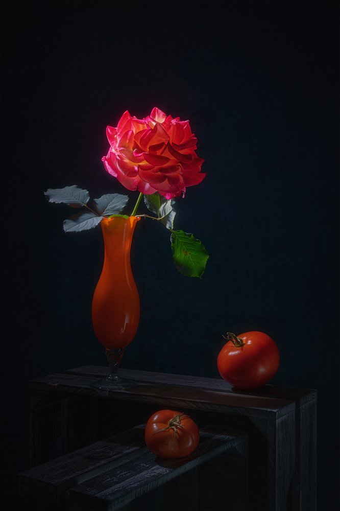 Nature morte dramatique à la rose - Lydia Jacobs