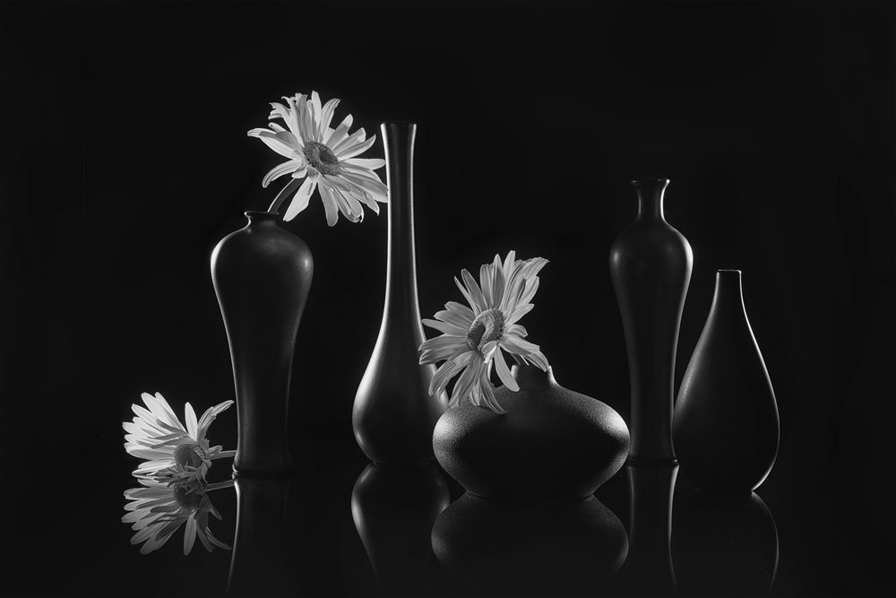 Nature morte élégante aux marguerites - Lydia Jacobs