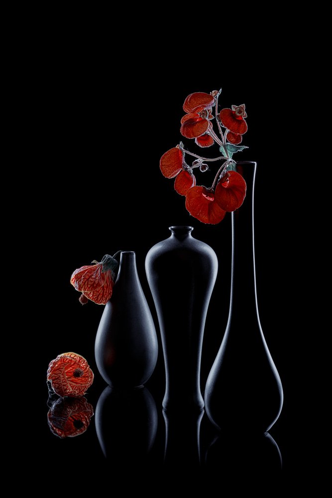 Flore sombre et élégante - Lydia Jacobs