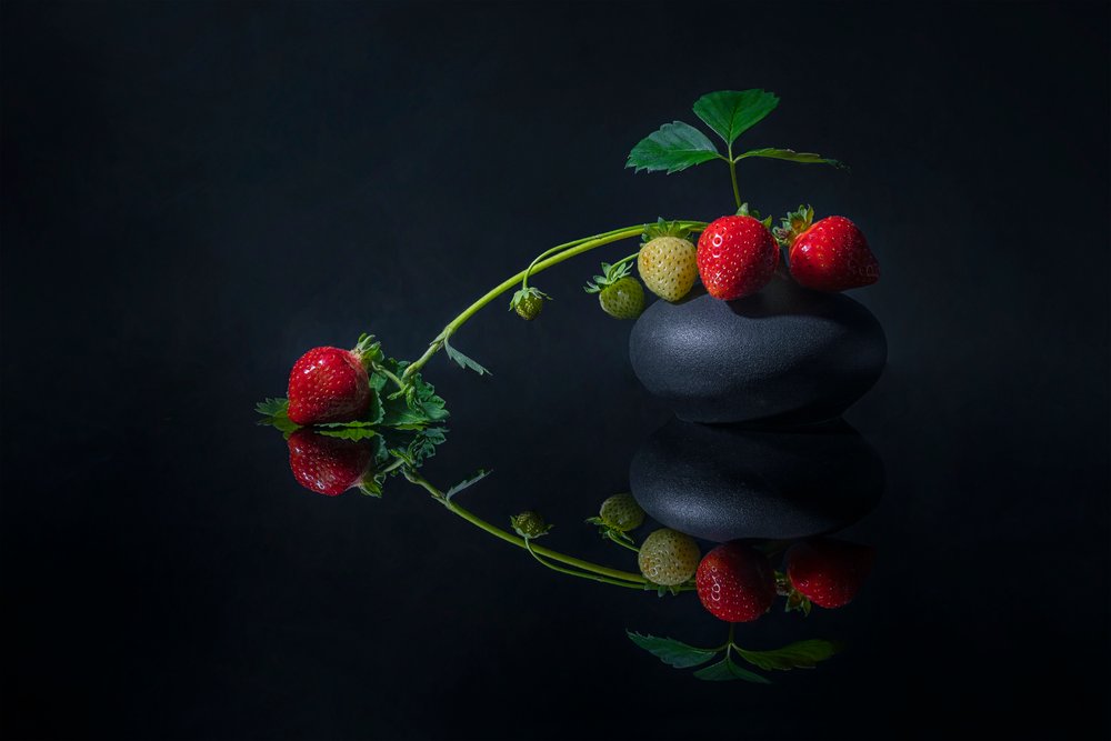 Fraises noires élégantes - Lydia Jacobs