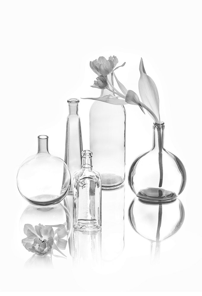 Élégantes tulipes en verre - Lydia Jacobs